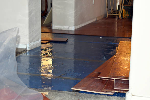 Professional Burst Pipe Cleanup technician working in Webberville, MI