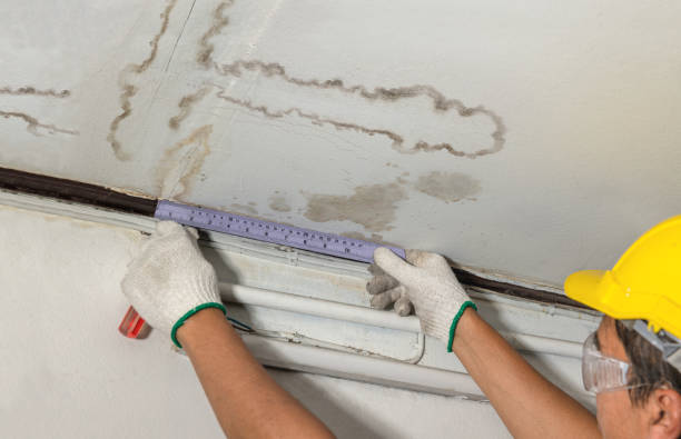 Reliable Burst Pipe Cleanup contractor in Webberville, MI by Local Water Damage Repair